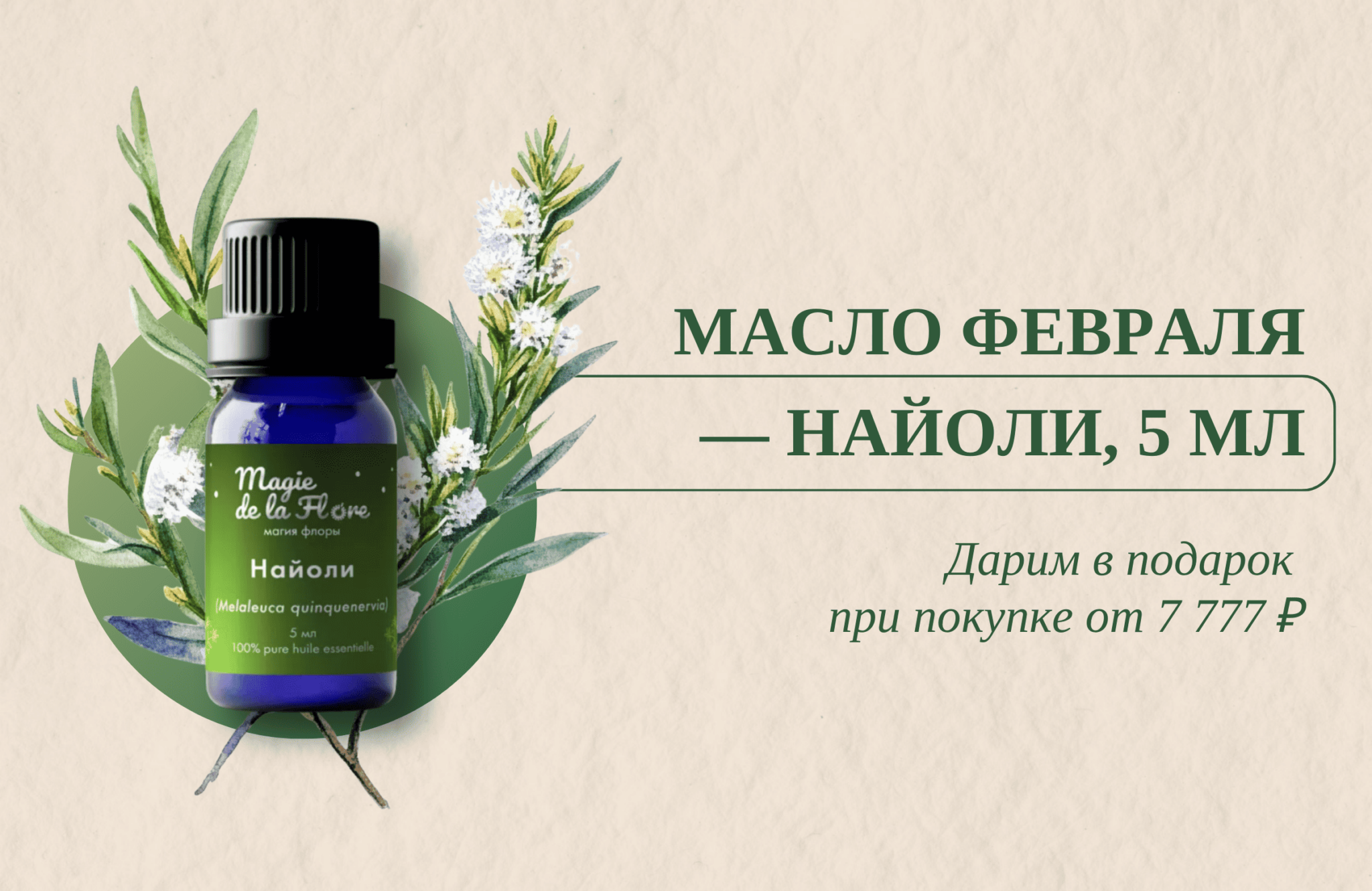 МАСЛО ФЕВРАЛЯ — НАЙОЛИ