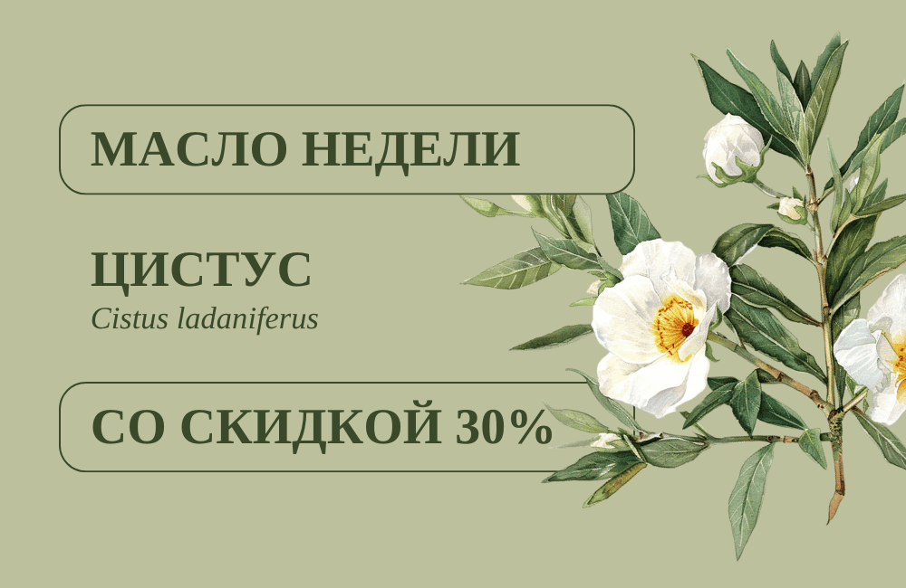 МАСЛО НЕДЕЛИ — ЦИСТУС