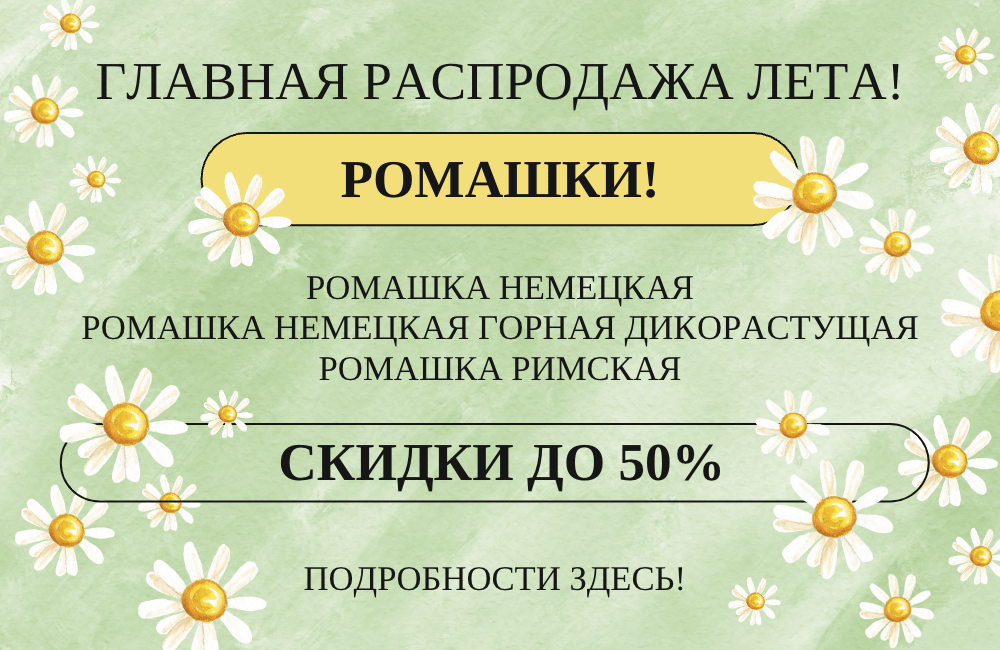 Масло недели РОМАШКА – Скидка до 50%