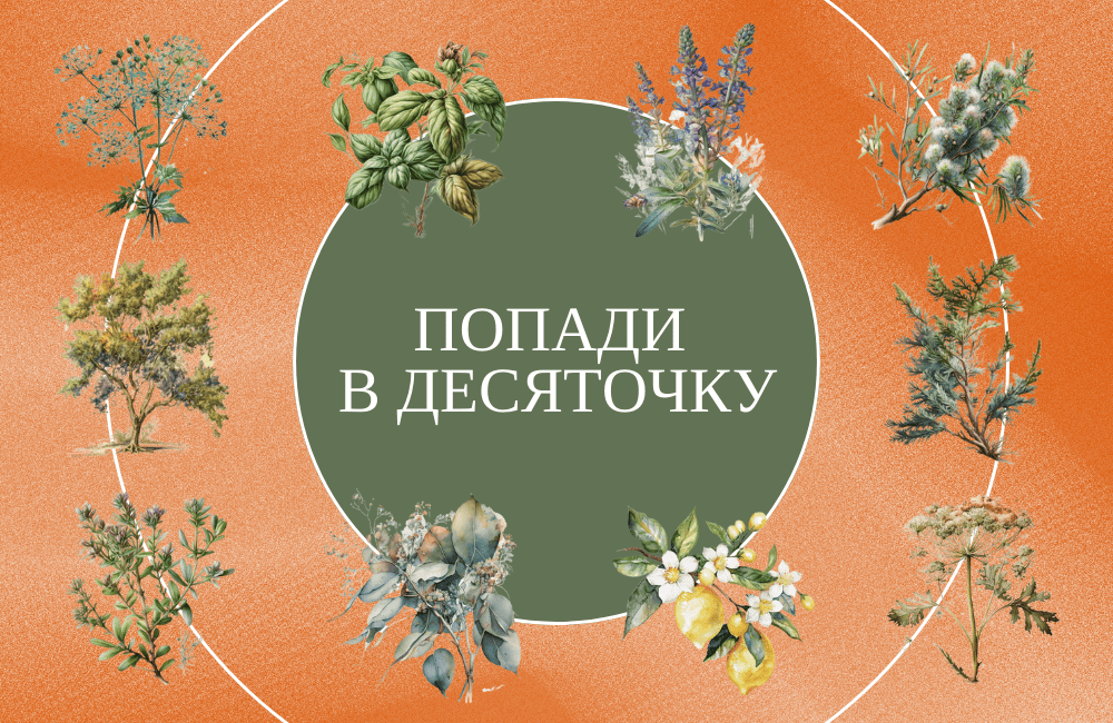 🎁 ДЕСЯТЬ ПОДАРКОВ ЗА ОДИН ЗАКАЗ 🎁