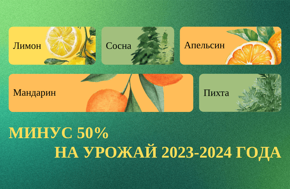 МИНУС 50% НА УРОЖАЙ 2023-2024