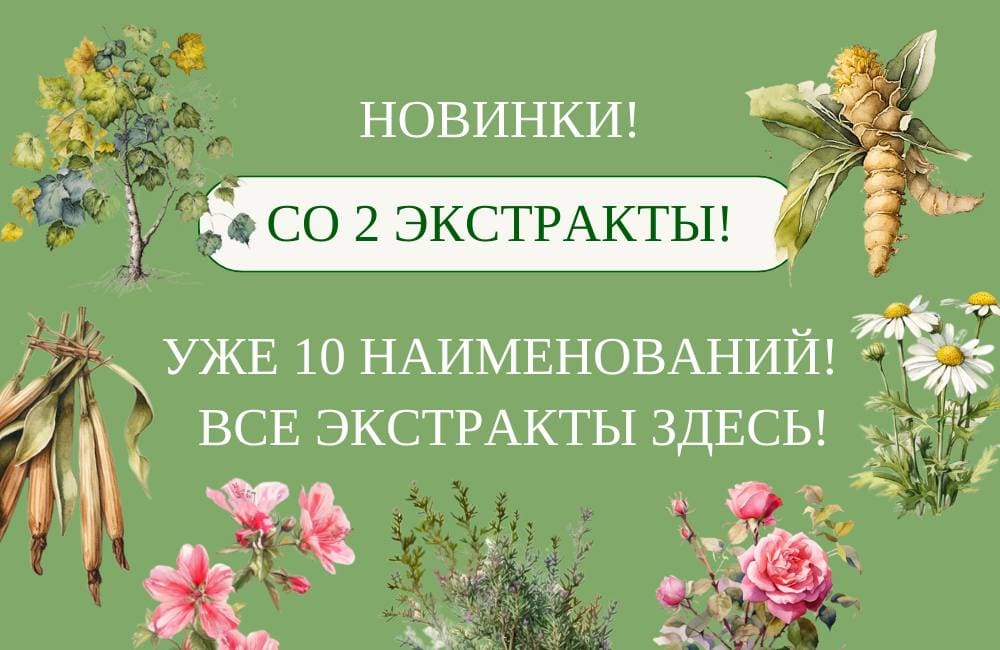 Новинки в интернет-магазине Магия Флоры