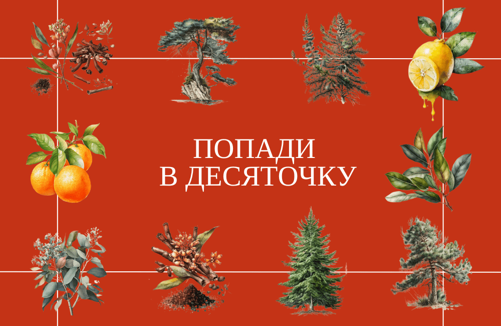 Получите подарки на 10 000 рублей