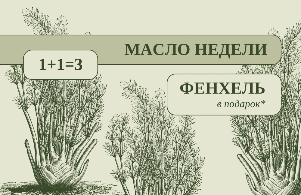 МАСЛО НЕДЕЛИ — ФЕНХЕЛЬ, АКЦИЯ В НОВОМ ФОРМАТЕ