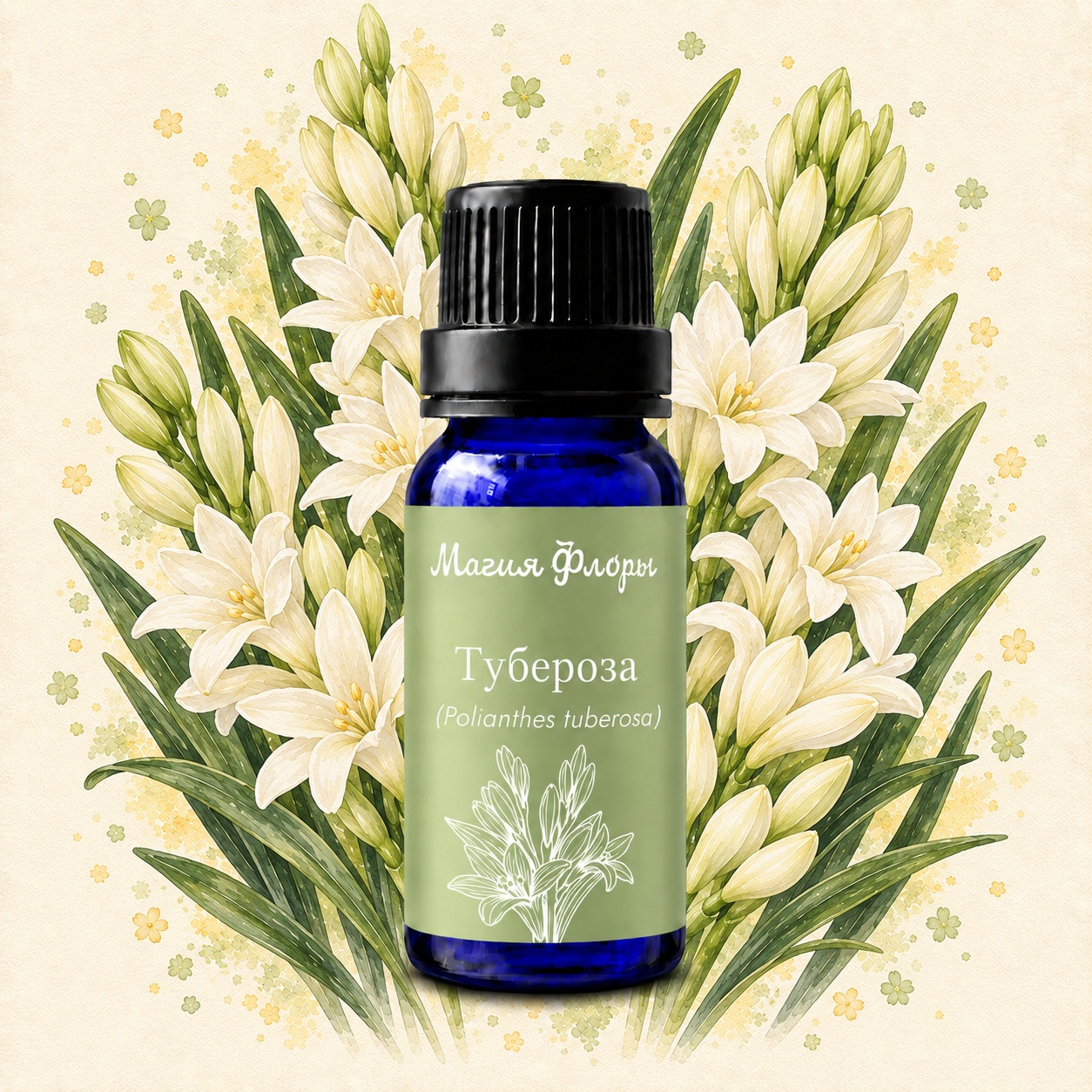 Тубероза, Polianthes tuberosa