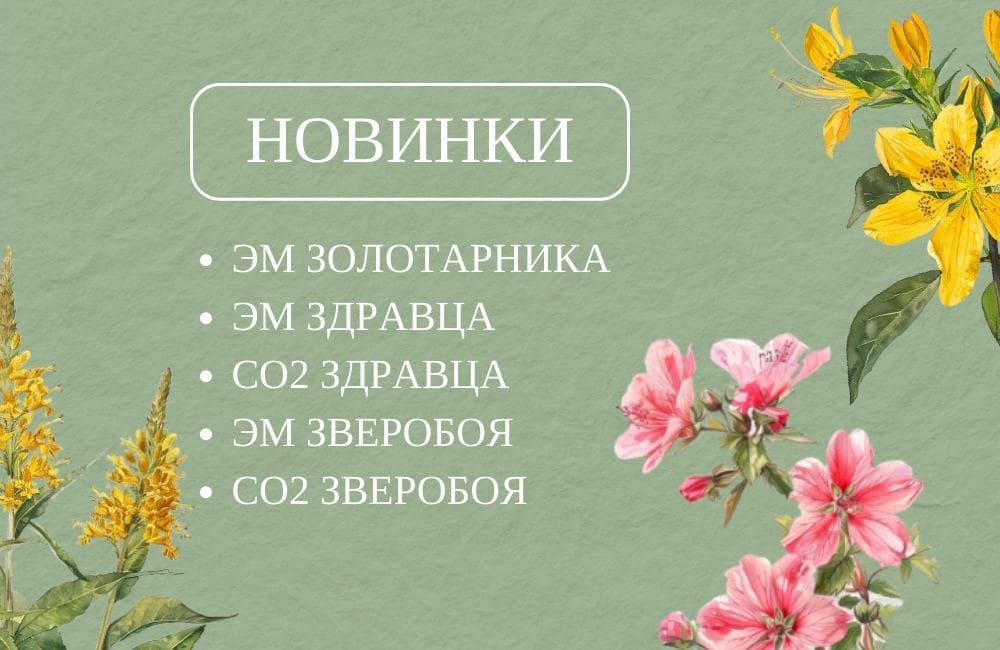Новинки в интернет-магазине Магия Флоры