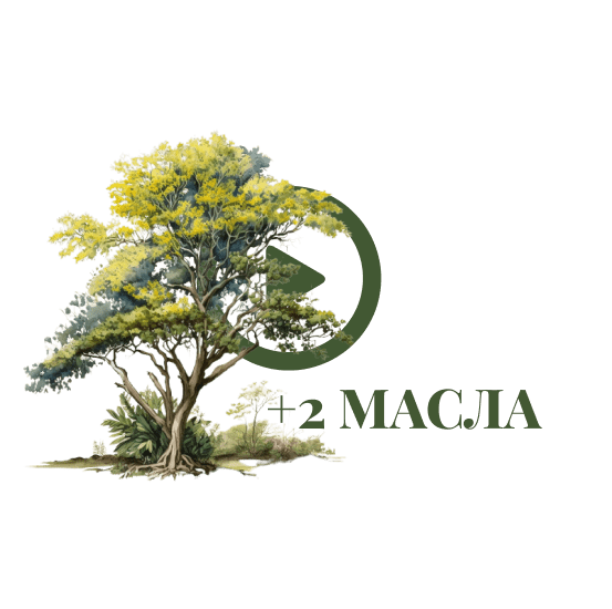 Вебинар + набор масел (Бальзам Копайбы 30 мл и Масло Андиробы 30 мл)