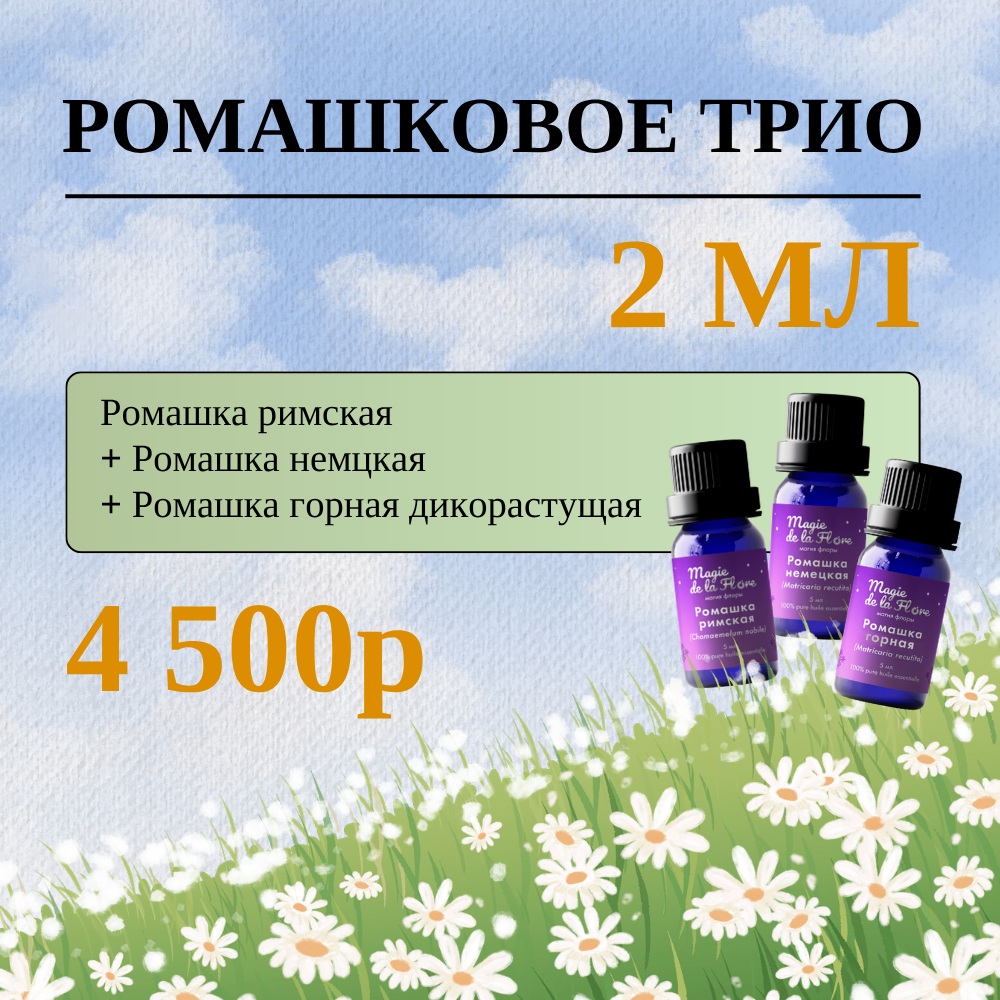 Ромашковое трио