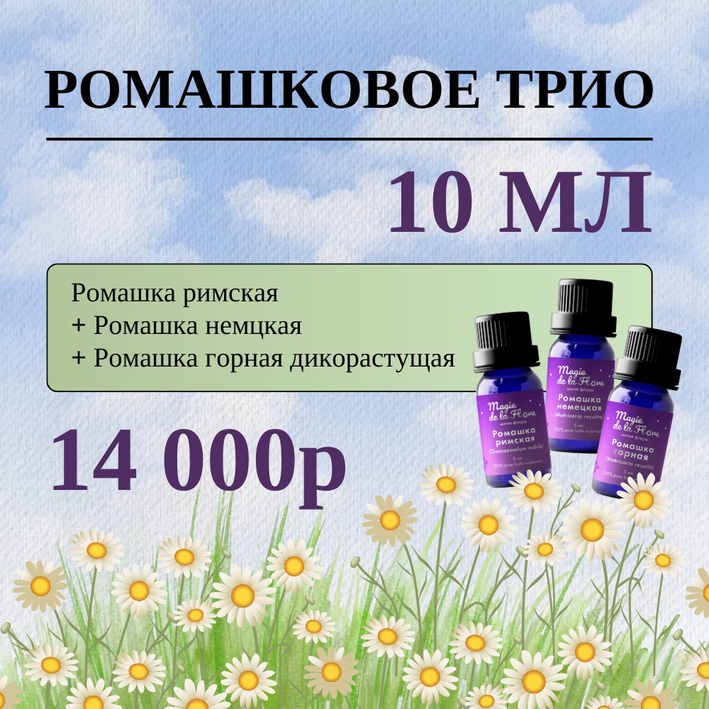 Ромашковое трио