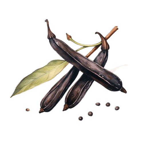 ВАНИЛЬ СО2 экстракт, 10% во ФКМ, Vanilla Plantifolia