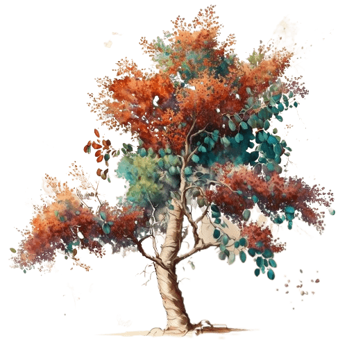КАТАФРАЙ, Cedrelopsis grevei