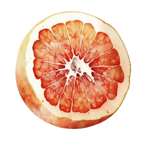 Грейпфрут (Citrus paradisi)