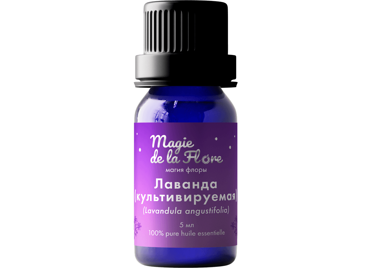 Лаванда (Lavandula angustifolia)