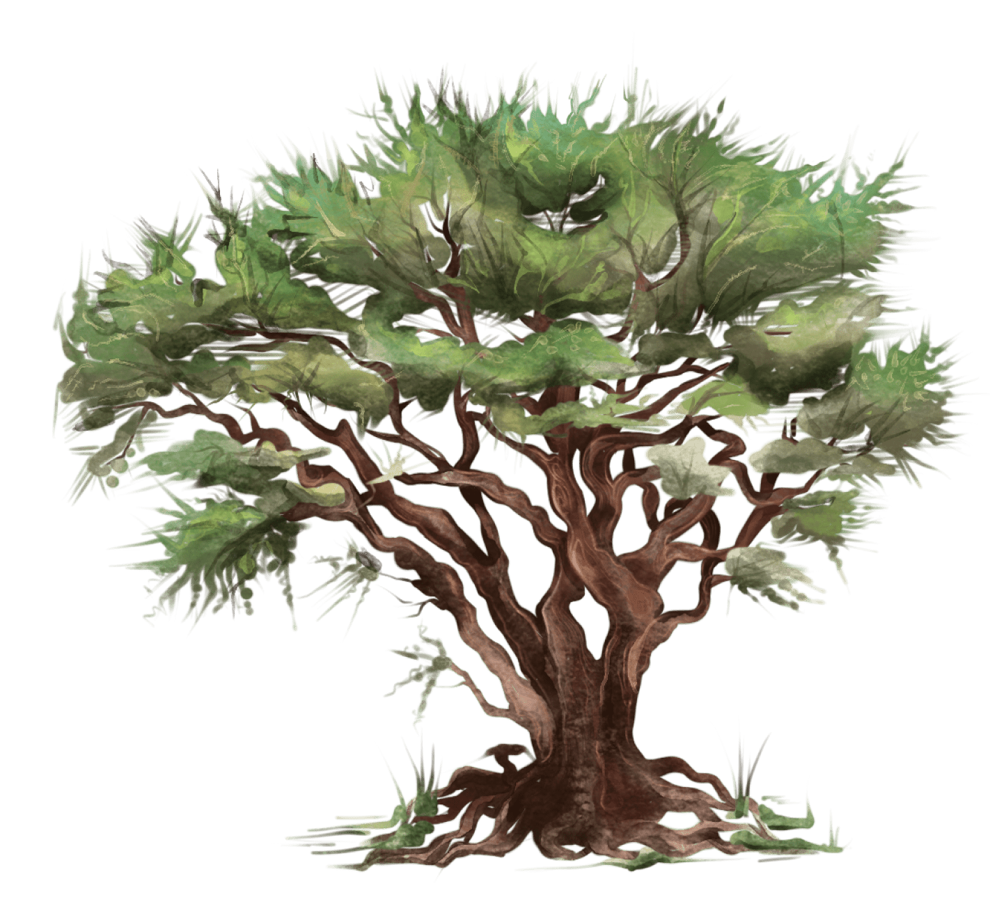Ладан (Boswellia carteri/Boswellia sacra)