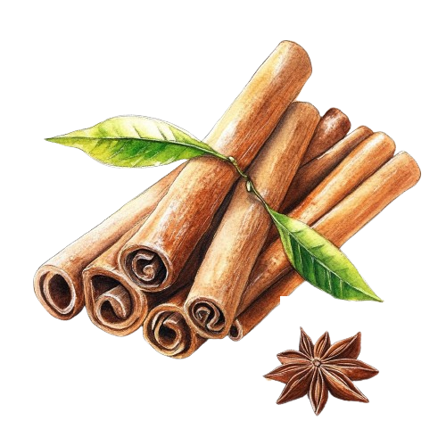 КАССИЯ, Cinnamomum aromaticum
