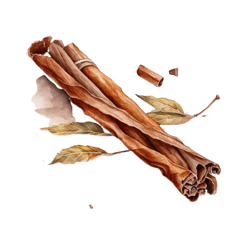 КОРИЦА (лист), Cinnamomum zeylanicum