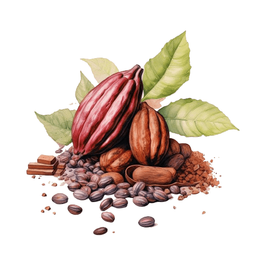 КАКАО баттер , Theobroma cacao