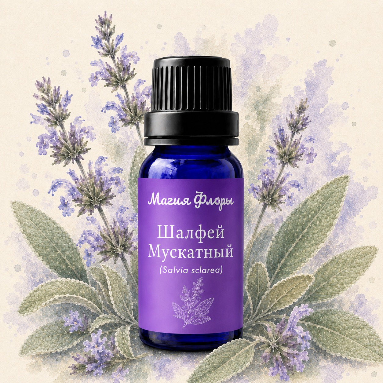 Шалфей Мускатный, Salvia sclarea