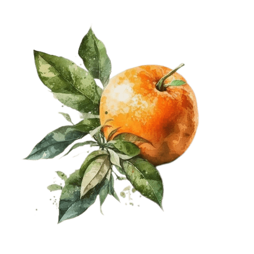 ПЕТИТГРЕЙН, Citrus aurantium